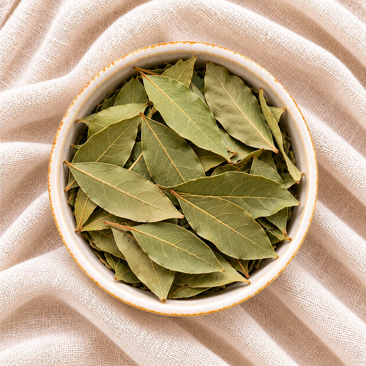 Dried Egyptian bay leaves for export