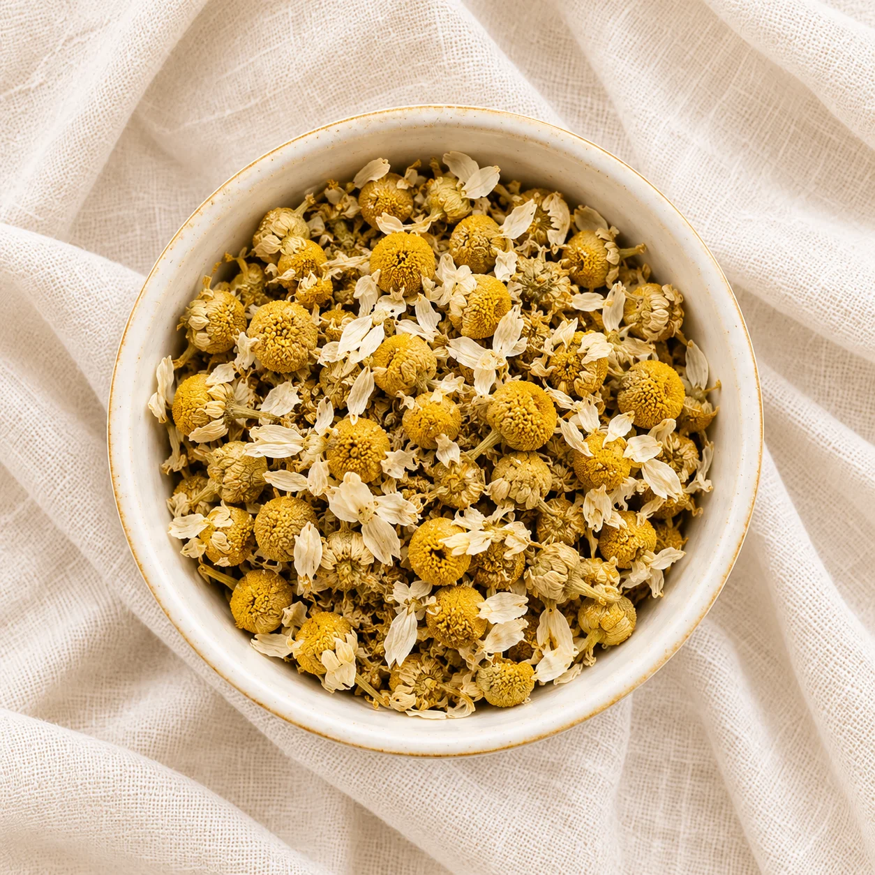 Dried Egyptian chamomile for export