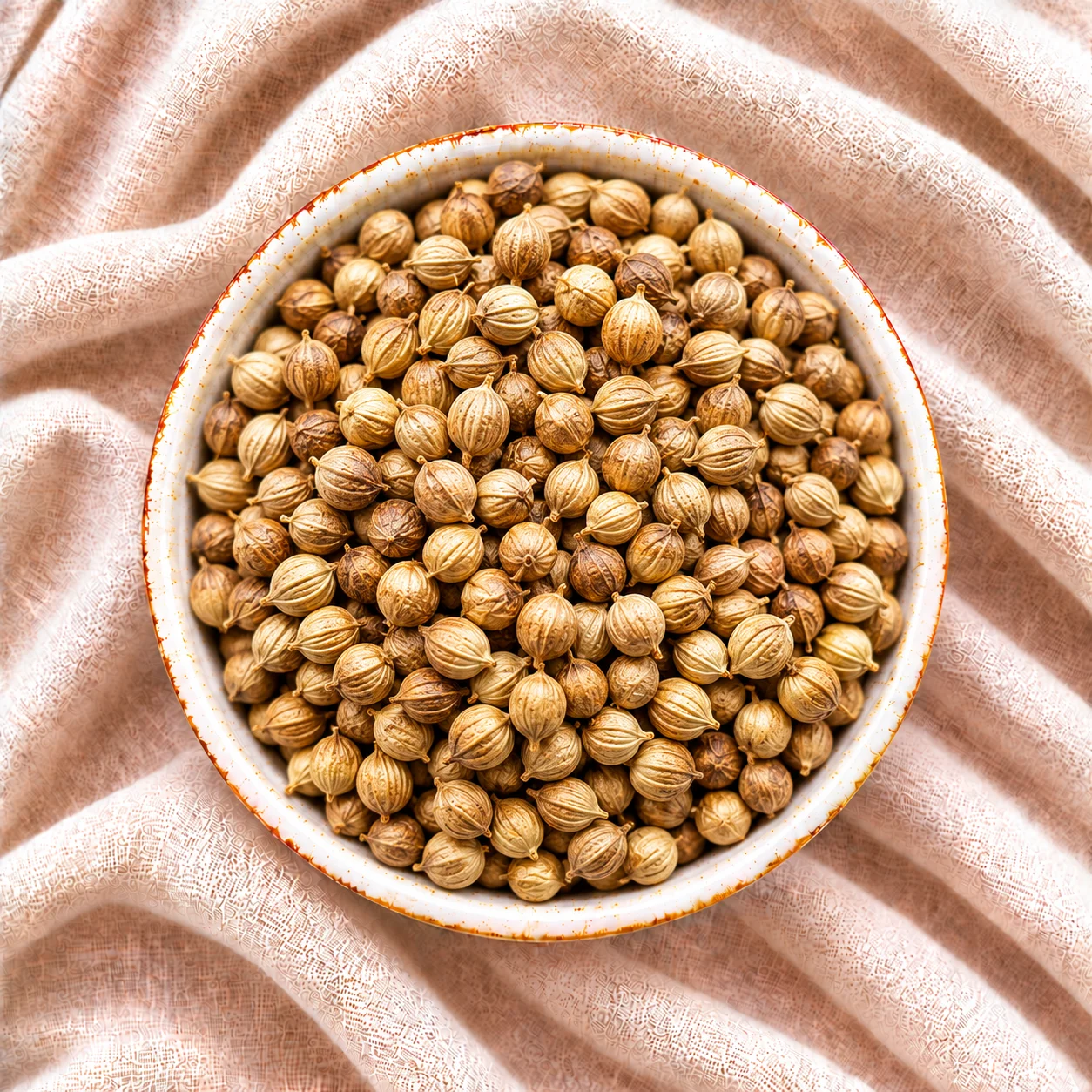 Dried Egyptian coriander seeds for export