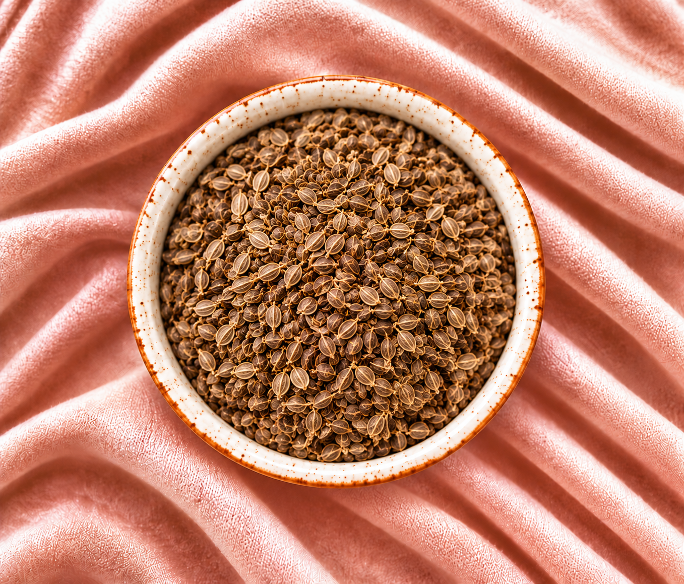 Dried Egyptian parsley seeds for export