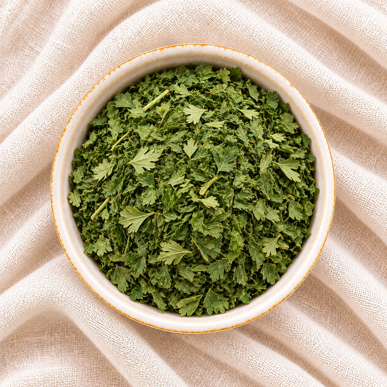 Dried Egyptian parsley for export