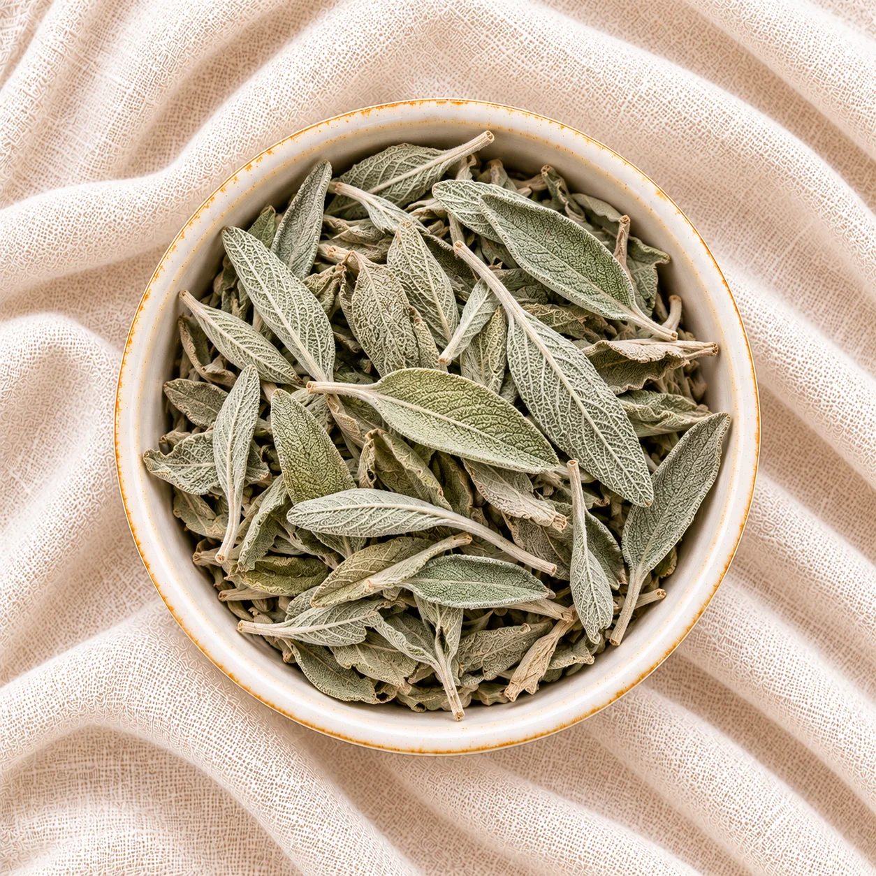 Dried Egyptian sage for export